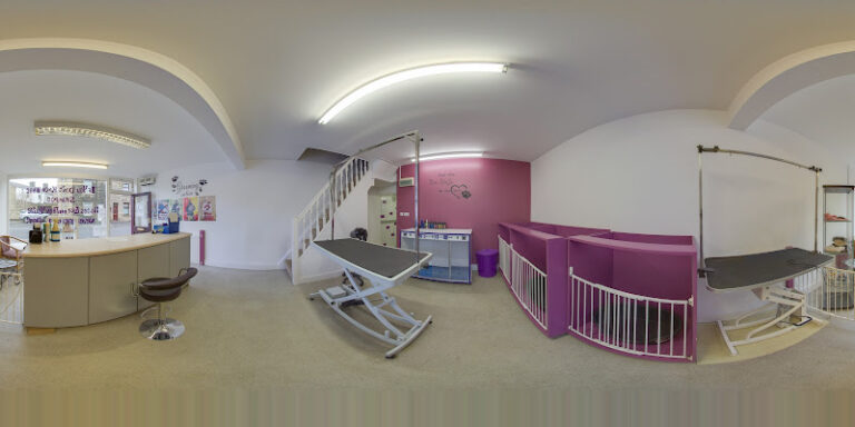 barkers dog grooming hartshill stoke on trent 1 768x384