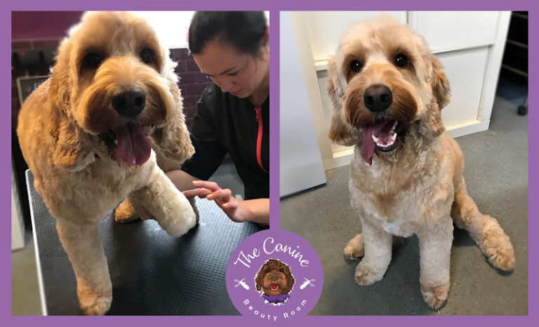 barking marvellous epsom 1 768x466