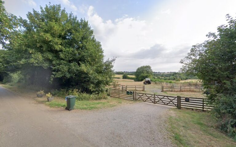 d.o.g bootle 1 768x480