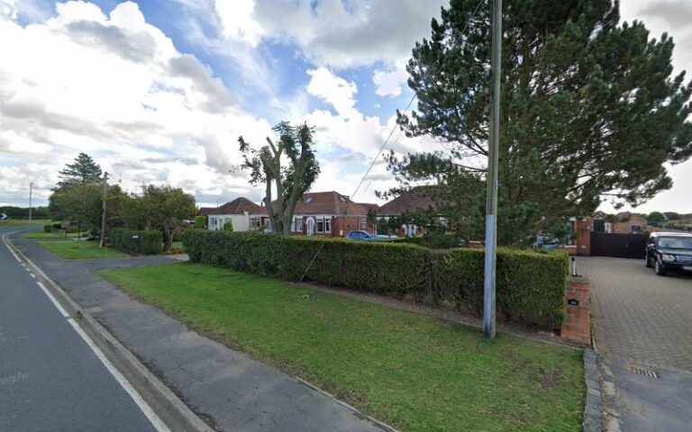 dog gone clean grooming chester le street 1 768x480