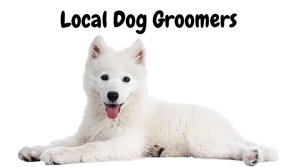 location-harrogate-yorkshire-united-kingdom-local-dog-groomers
