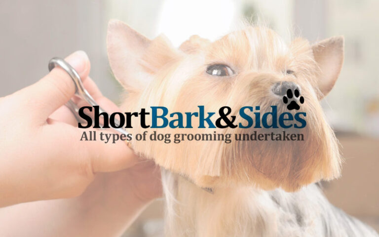doggy groomers spalding 1 768x480