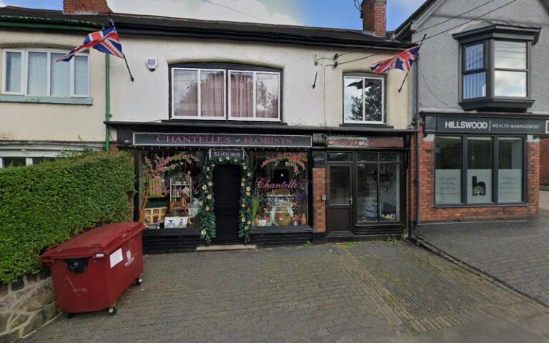 dogwood grooming christchurch 1 768x480