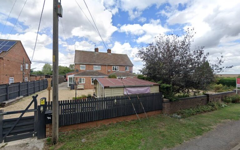 dogwood grooming weymouth 1 768x480