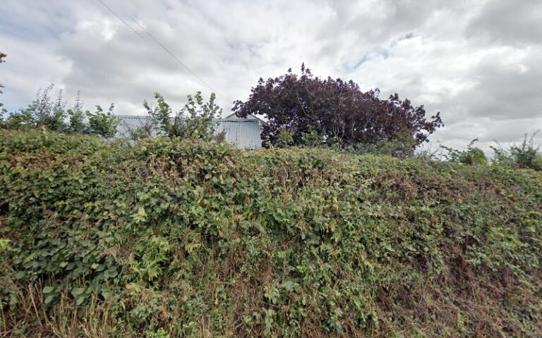 dogzbody spa manchester 1 768x480