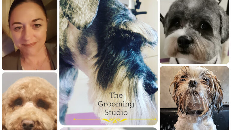 hair off the dog manchester 1 768x432