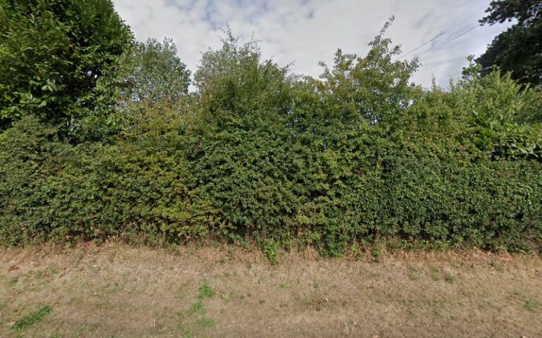 hairy tails dog grooming falkirk 1 768x480