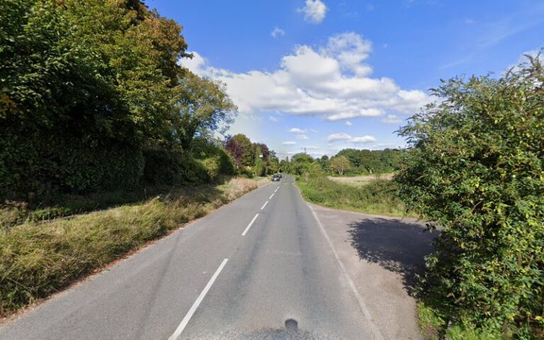 happy hounds dog grooming carrickfergus 1 768x480