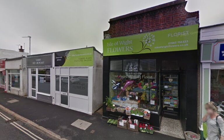 hg grooming dog grooming chichester 1 768x480