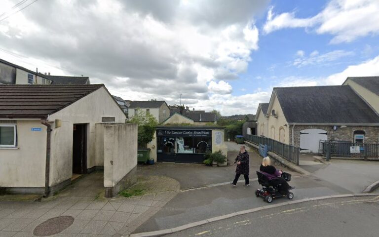 k9 grooming parlour torquay 1 768x480