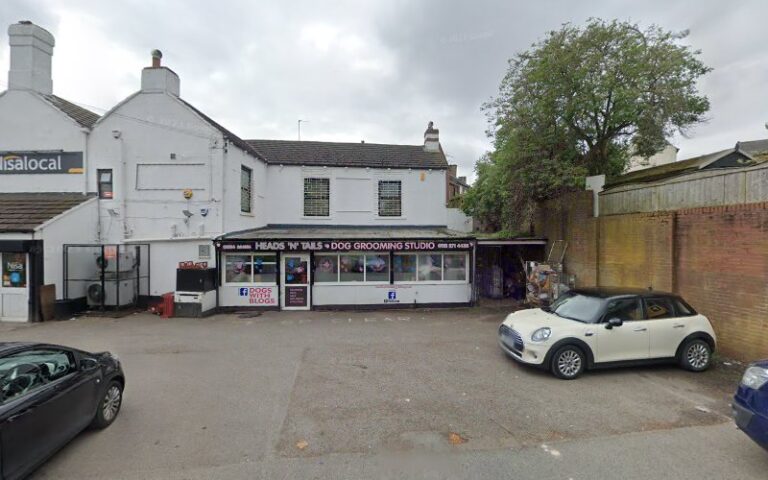 la maison des chiens london 1 768x480