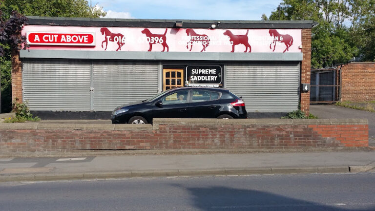 loch leven dog grooming kinross 1 768x432