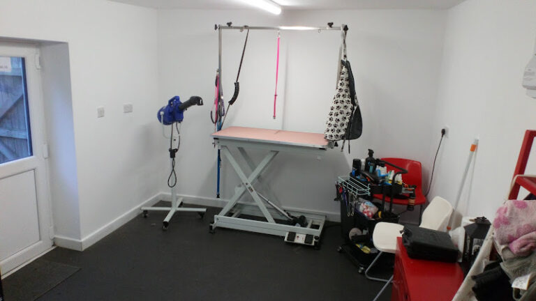 love my hound beckenham 1 768x432