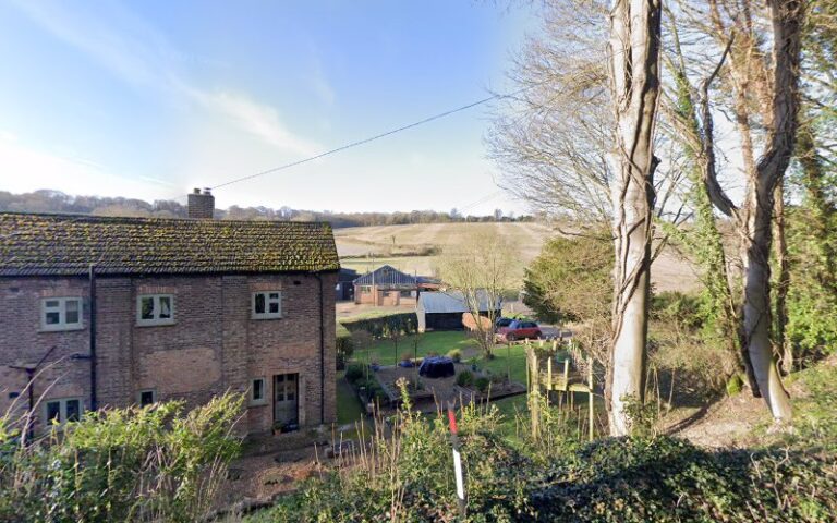 messy woof dog grooming bexleyheath 1 768x480