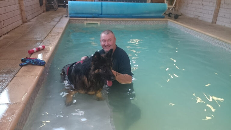 my best friend cirencester cirencester 1 768x432