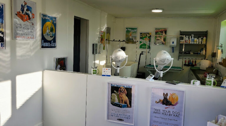 oscars dog grooming coventry 1 768x431