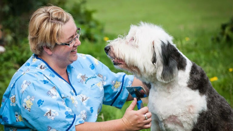 pamper me belfast 1 768x432