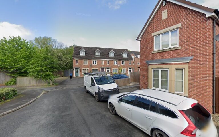 paw prints dog grooming southampton 1 768x480