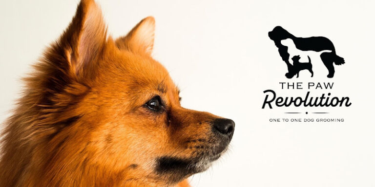 peak pups chesterfield 1 768x384