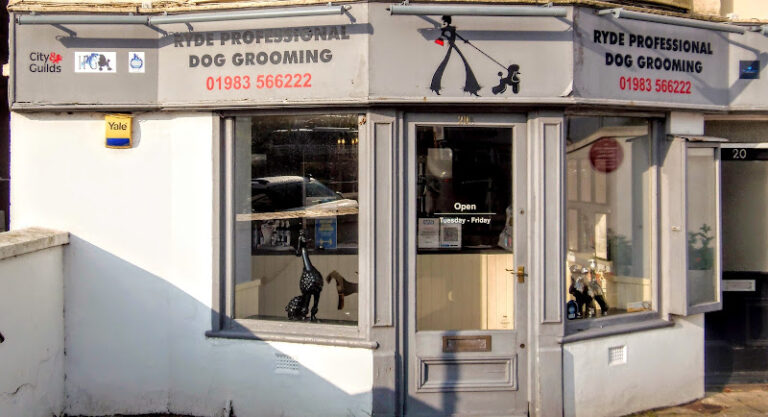 pet care sutton in ashfield 1 768x417