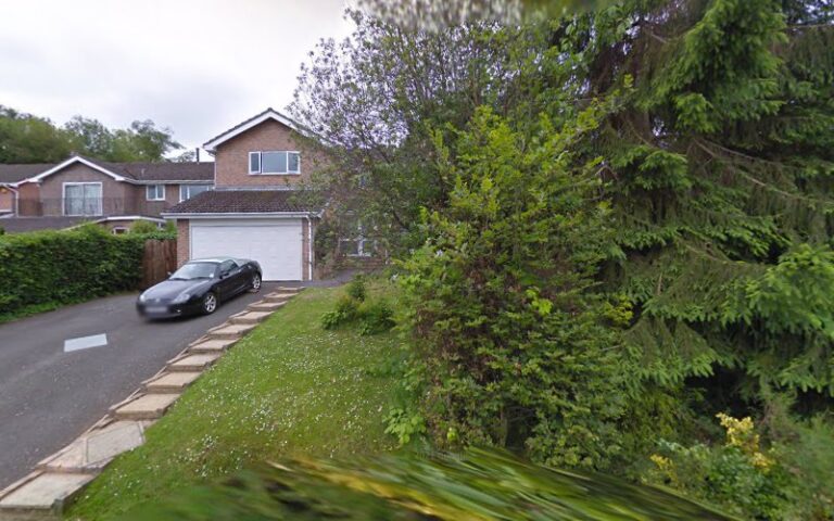 petite paws only worcester 1 768x480