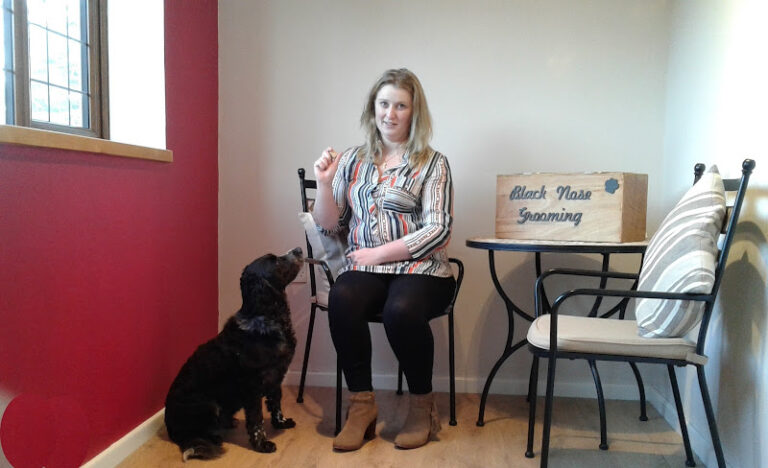 pets at home bristol eastgate bristol 1 768x468