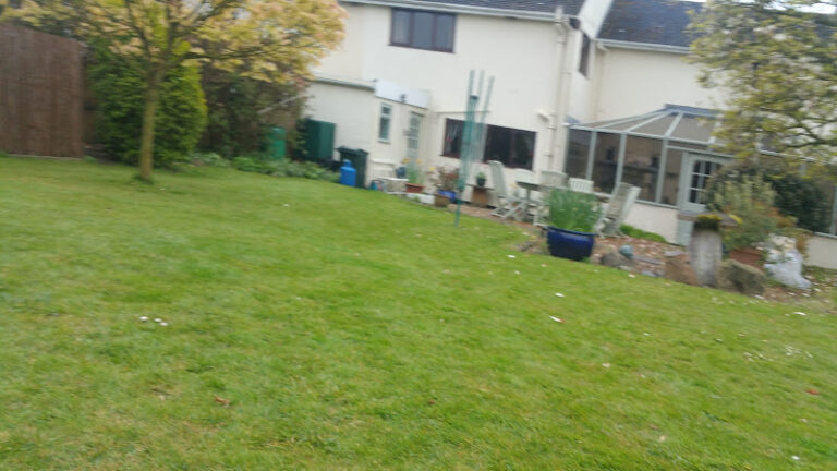 pooches grooming studio chelmsford 1 768x432