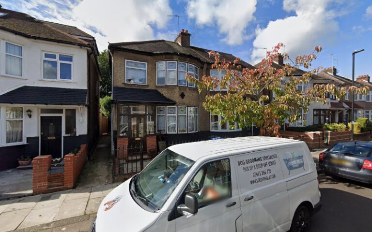 sassy cat and dog grooming bradford 1 768x480