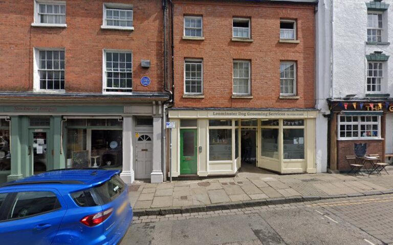 scruff busters dog grooming boston 1 768x480