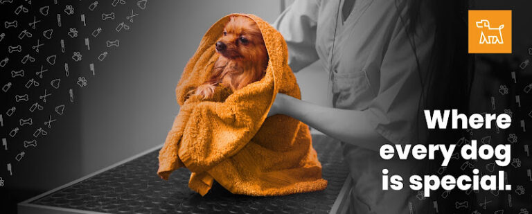 style a dog normanton 1 768x309