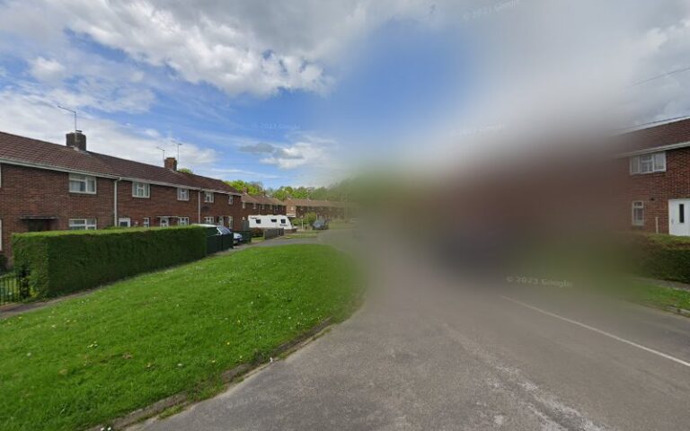 tailored tails dog grooming salon canterbury 1 768x480