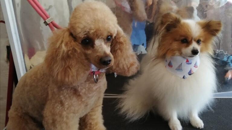 the groom room cannock cannock 1 768x432