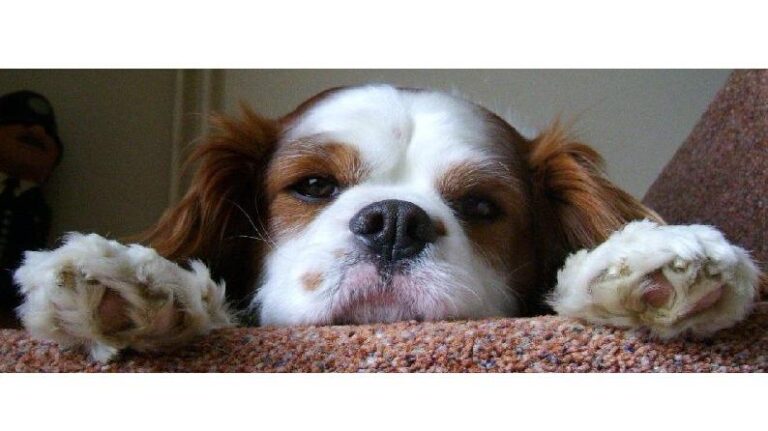 the groom room prescot prescot 1 768x431