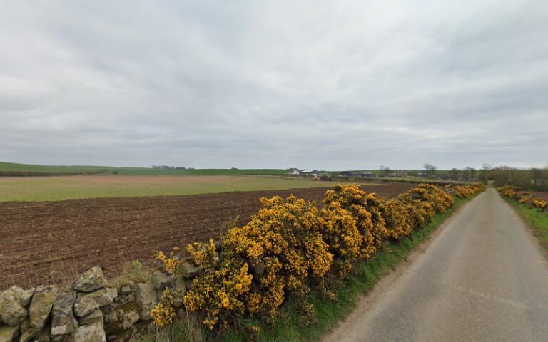 top dog groomers darlington 1 768x480