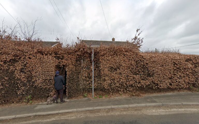 wash my woof manchester 1 768x480