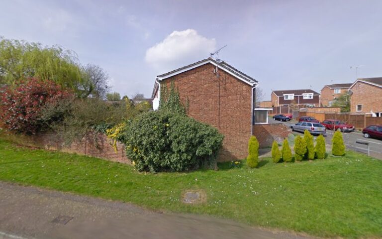 wild to styled dog grooming and spa cardiff 1 768x480