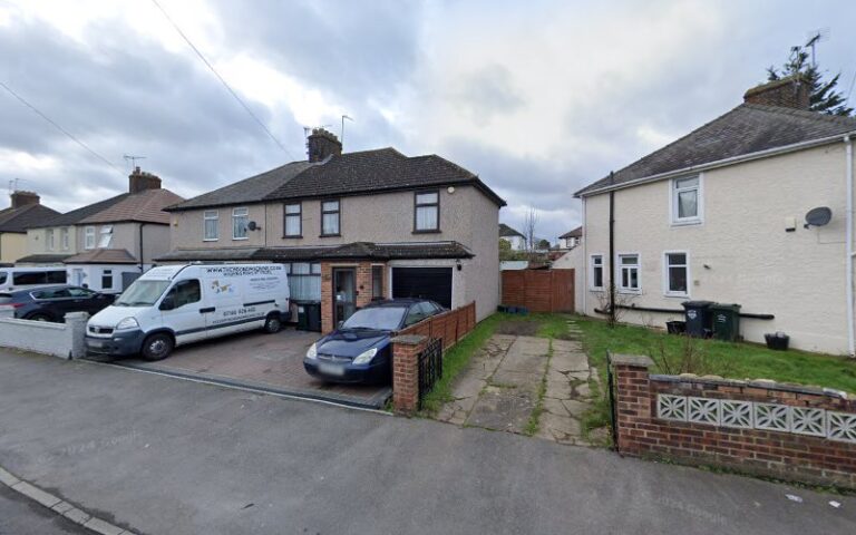 wonderdog london 1 768x480