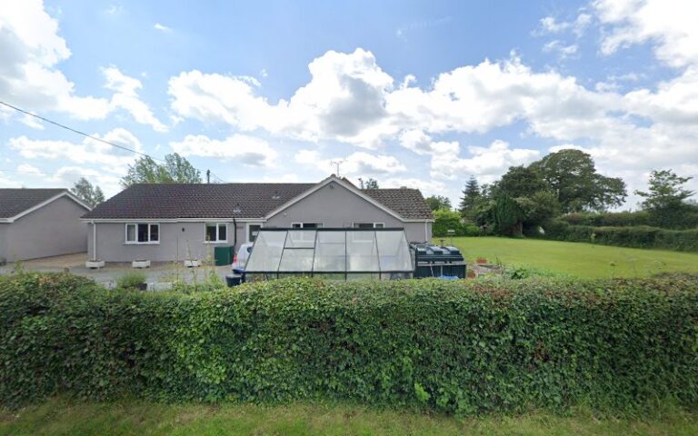 woodlands dog grooming caerphilly 1 768x480