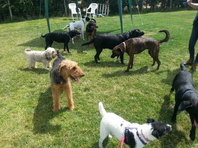 barkley grange hilton 768x576