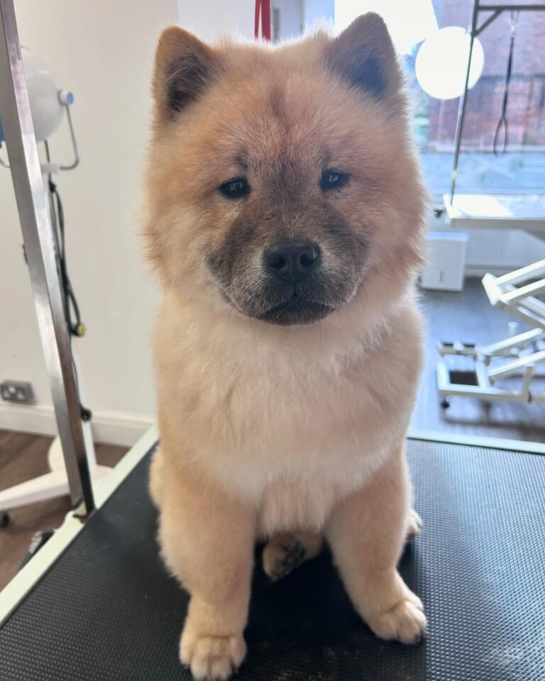 bee and berrys buckinghamshire 768x960