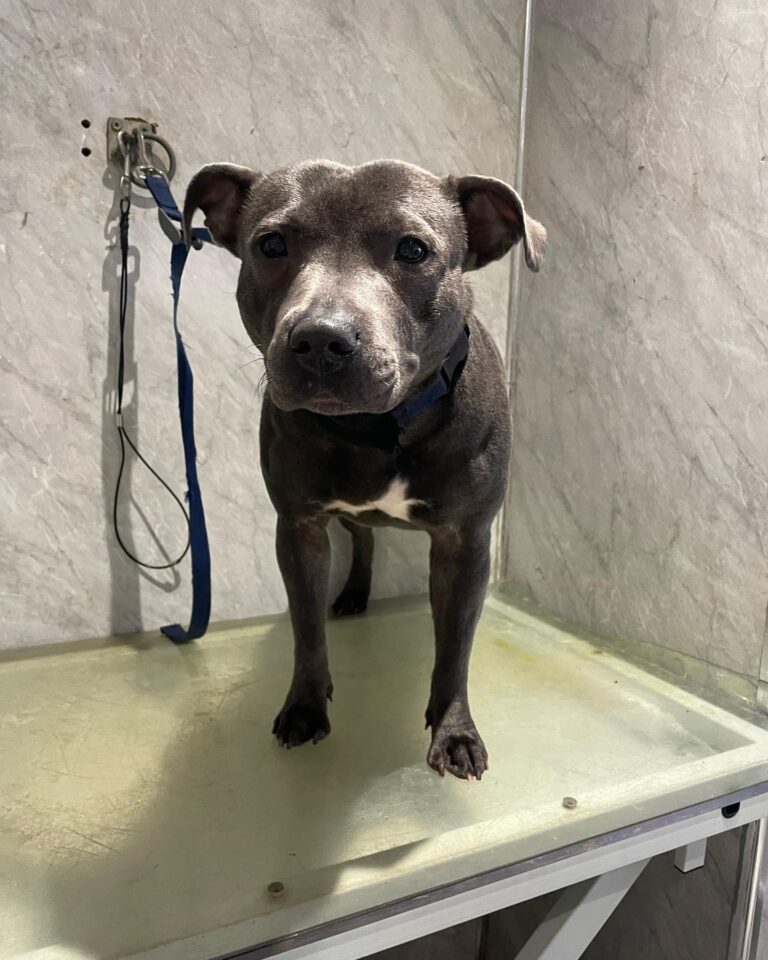 billionhairs manchester 768x960