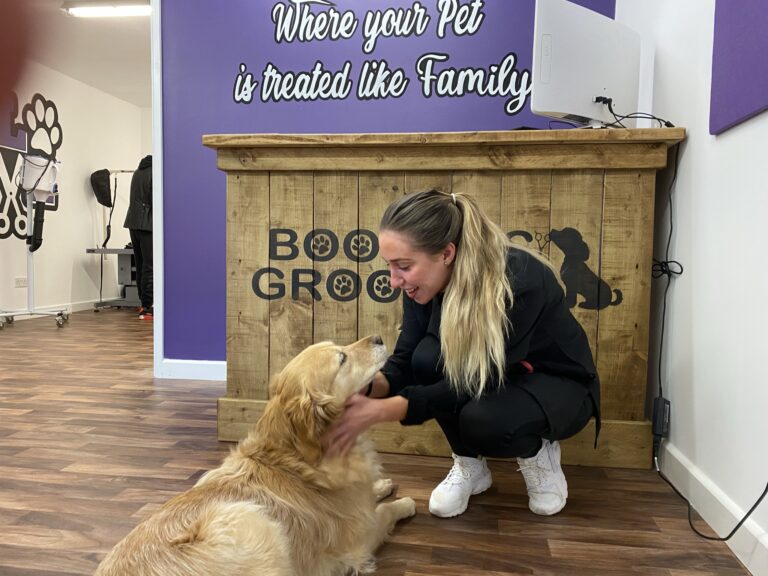 boomers groomers bedford 768x576