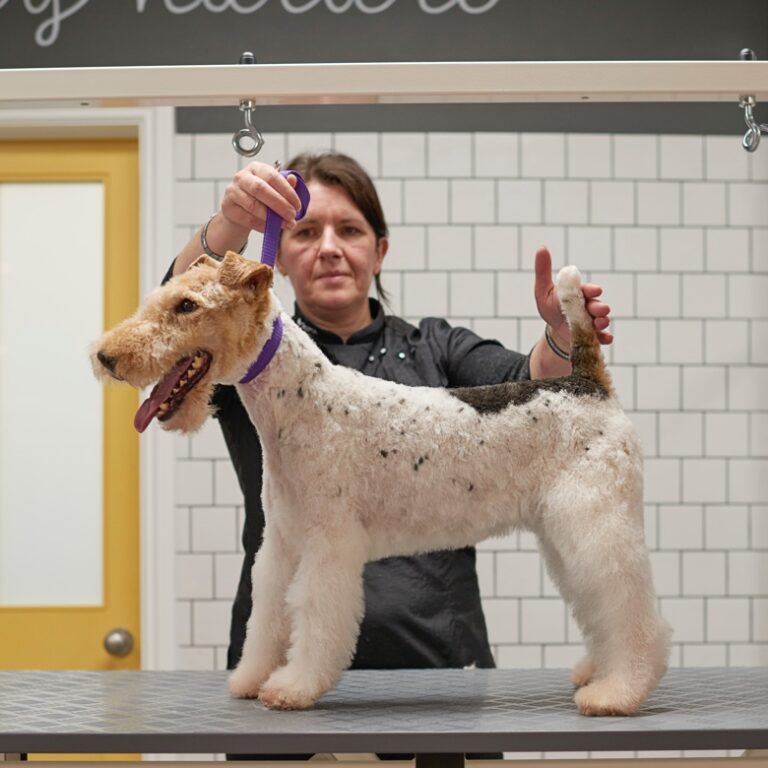 dogwood amersham 768x768