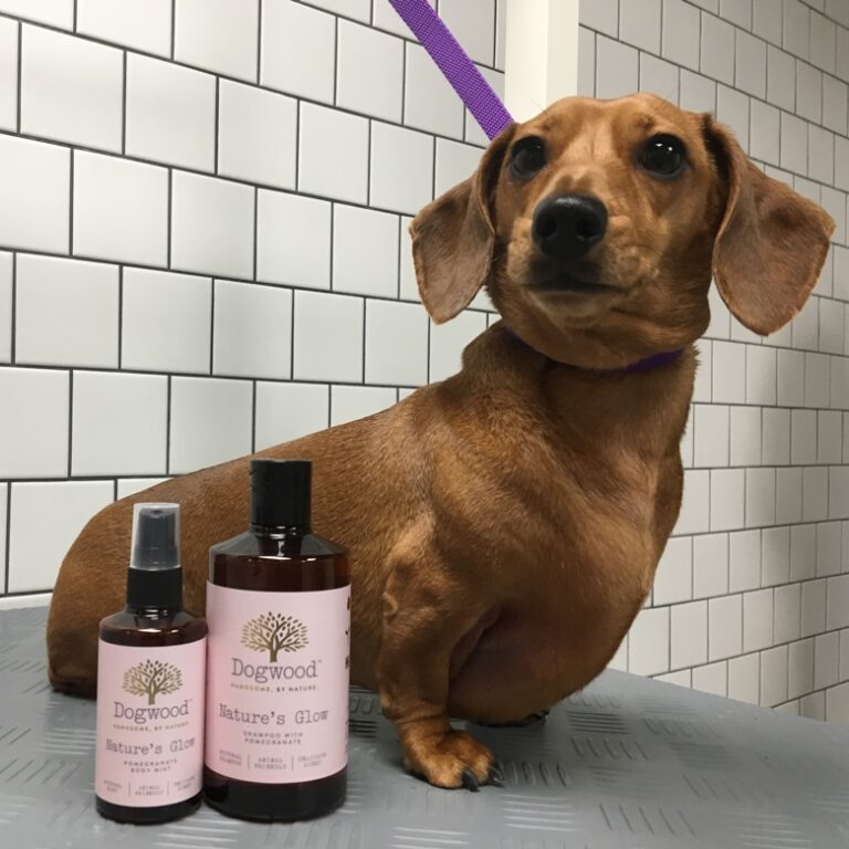 dogwood grooming reading 768x768