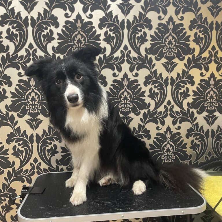 grey magic buckinghamshire 768x768