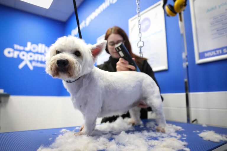 jollyes bedford 768x512