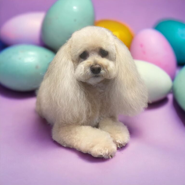 perfect paws wokingham 768x768