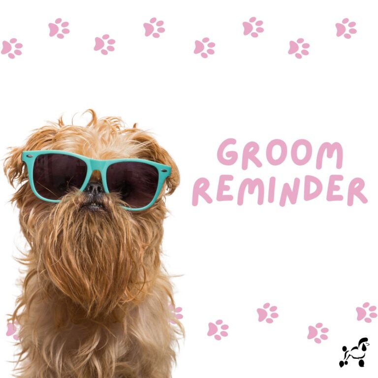 simply debonair birkenhead 768x768