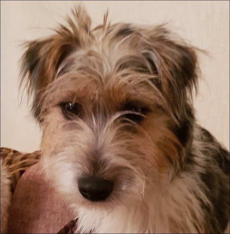 the groom room crewe 768x784