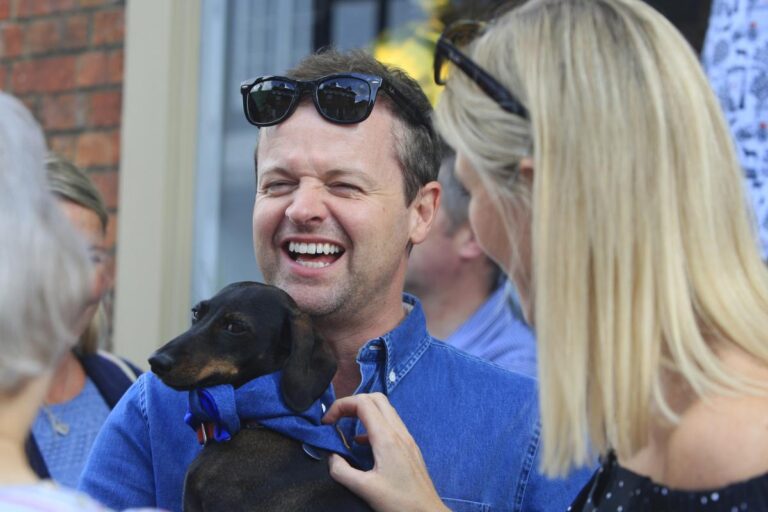 woody and friends buckinghamshire 768x512